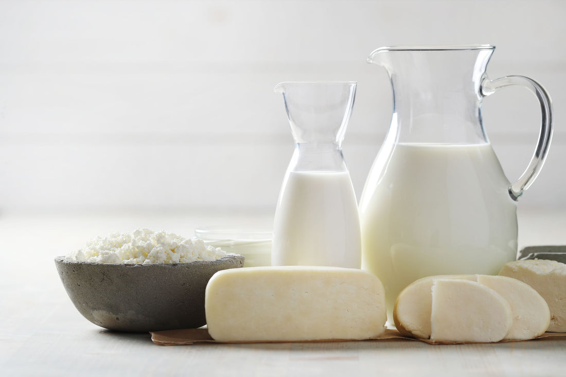 All Things Dairy (and non dairy) - Milk Cheese and Yoghurt - TRANSFORM by Fitaz