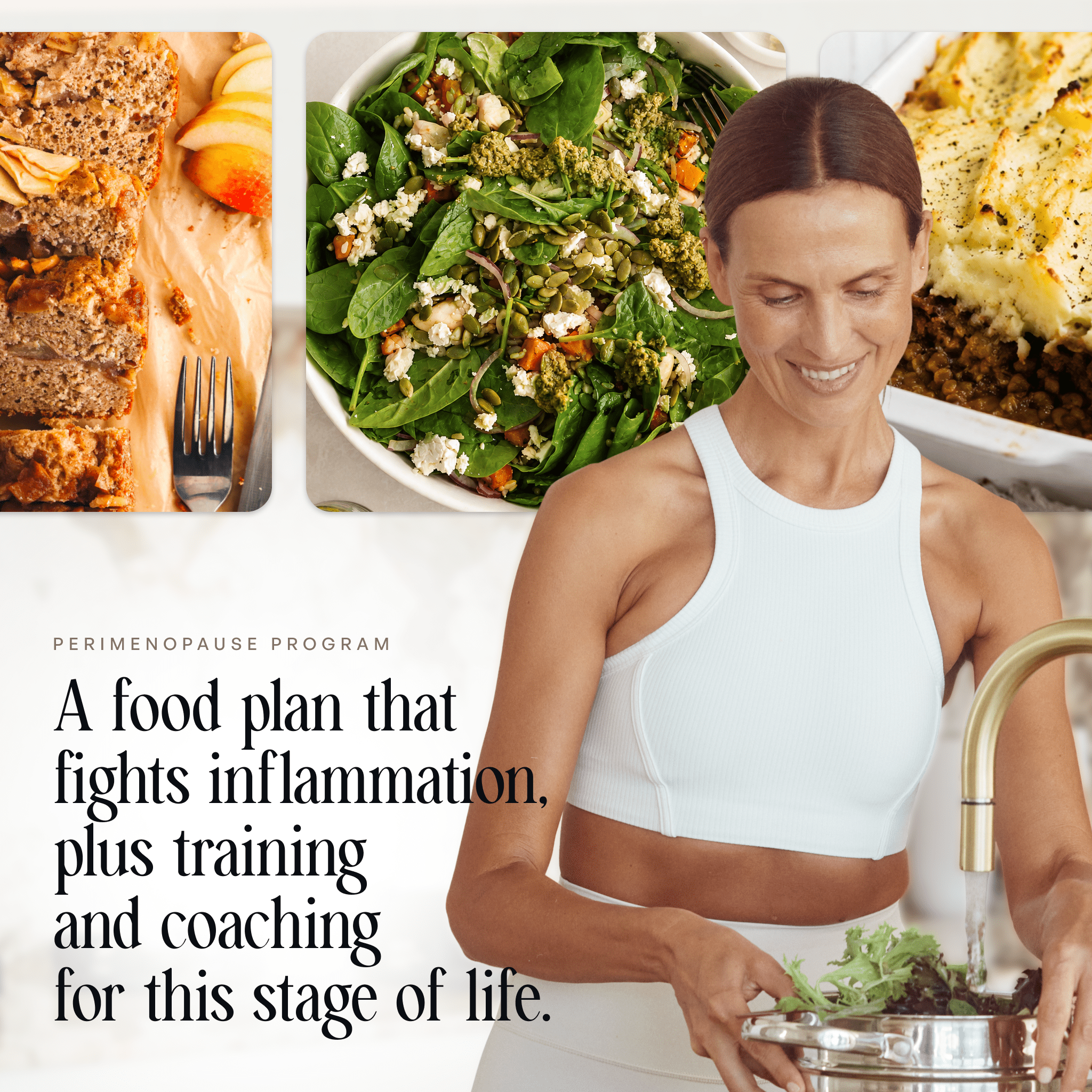 Perimenopause nutrition program overview